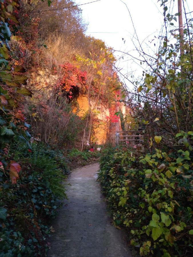 Les Troglos De L'Echeneau Vouvray Bagian luar foto